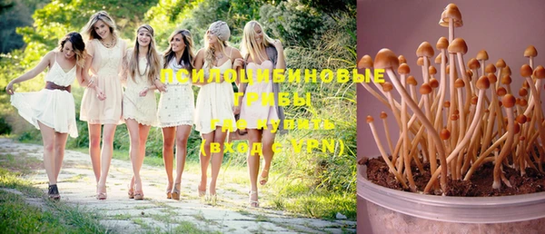 кристаллы Алексеевка