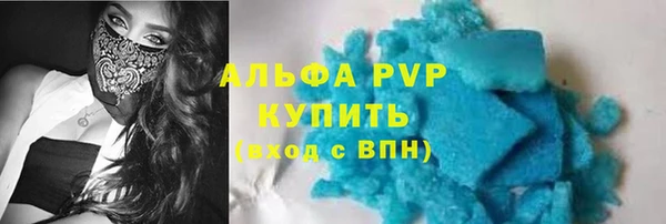 стафф Алзамай
