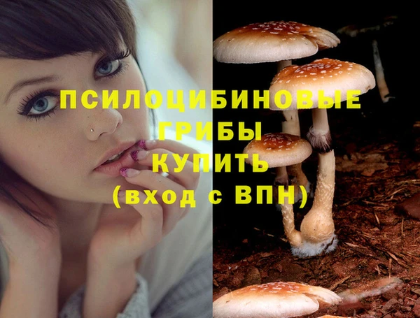 PSILOCYBIN Алексин