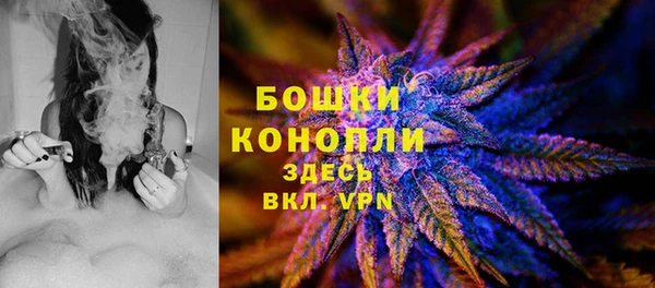 PSILOCYBIN Алексин
