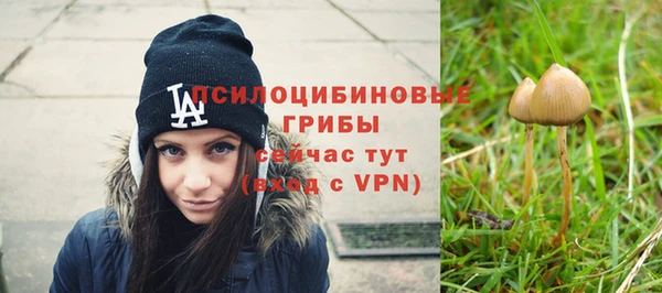 PSILOCYBIN Алексин