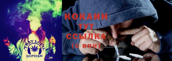 стафф Алзамай