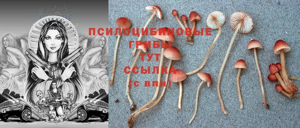 PSILOCYBIN Алексин