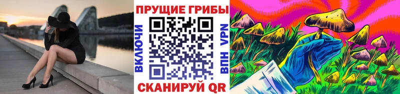 Псилоцибиновые грибы мухоморы  Купить  Сочи 